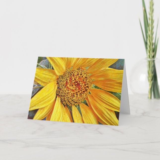 Super Tournesol Fermer Carte de Bénédiction Annive (Devant)