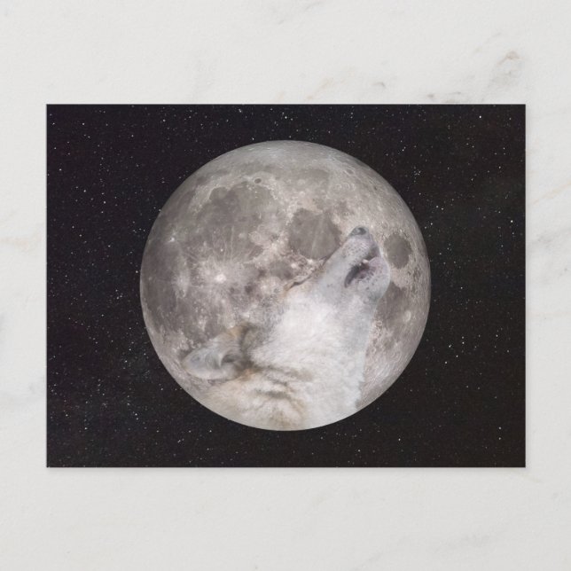 Super Wolf Moon Postcard (Front)