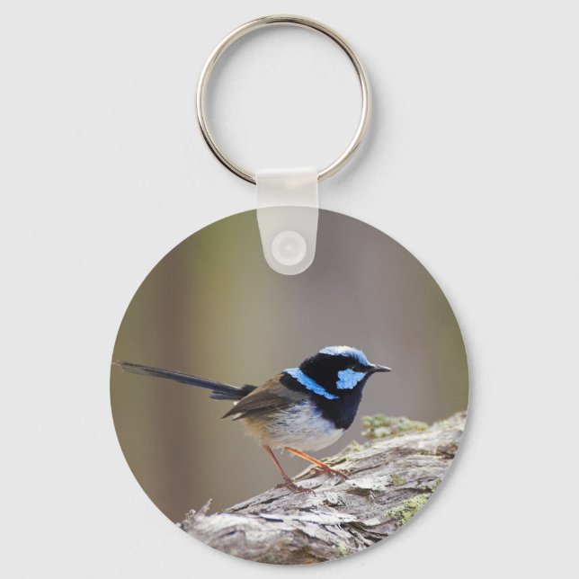 Superb Fairy-wren Keychain (Front)