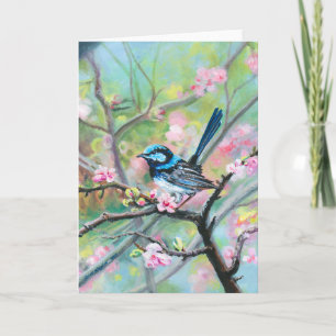 Superb Fairy Wren - Thank You Card