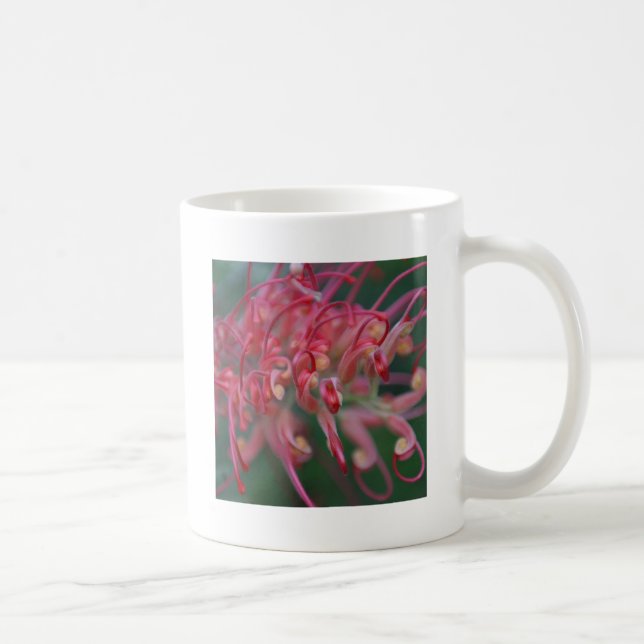 Superb Grevilla Macro Coffee Mug (Right)
