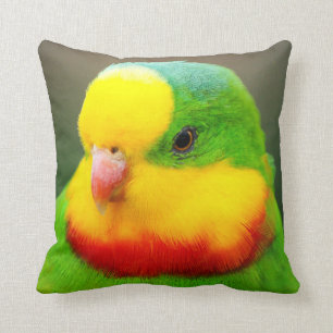 Superb Parrot Throw Pillow