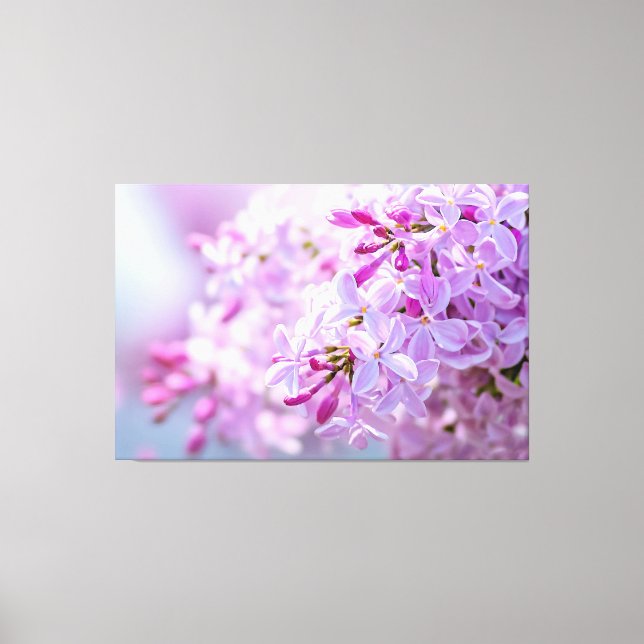 Superb Pink Lilac Flowers Canvas Print (Front)