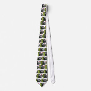 Superb! Rye England Tie