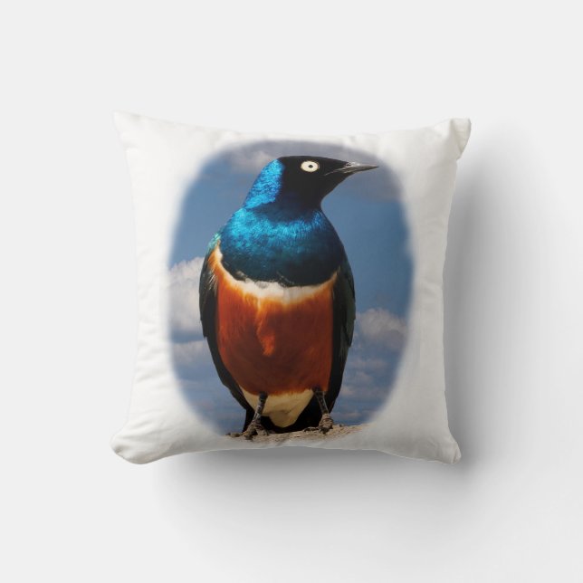 Superb starling seen from front  throw pillow (Front)