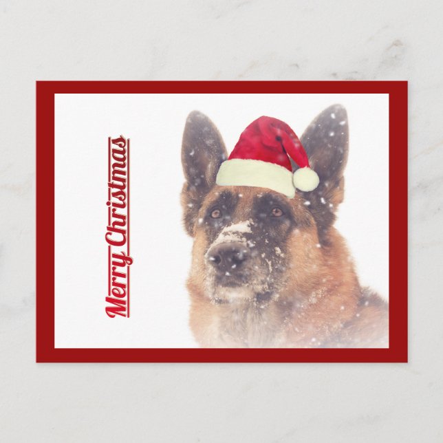 Superbe carte postale allemande Shepherd Holiday (Devant)