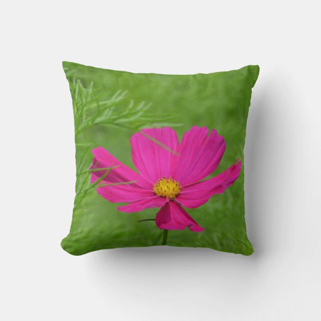 Superbe Coussin Cosmos (Recto)