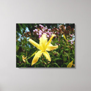 Superbe déco de murs de jardin