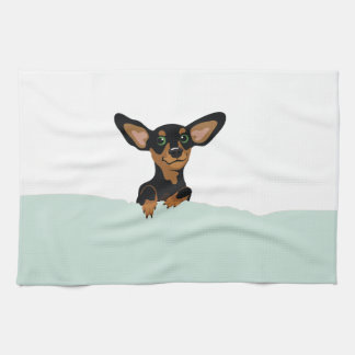 Supercute dachshund puppy under green duvet kitchen towel