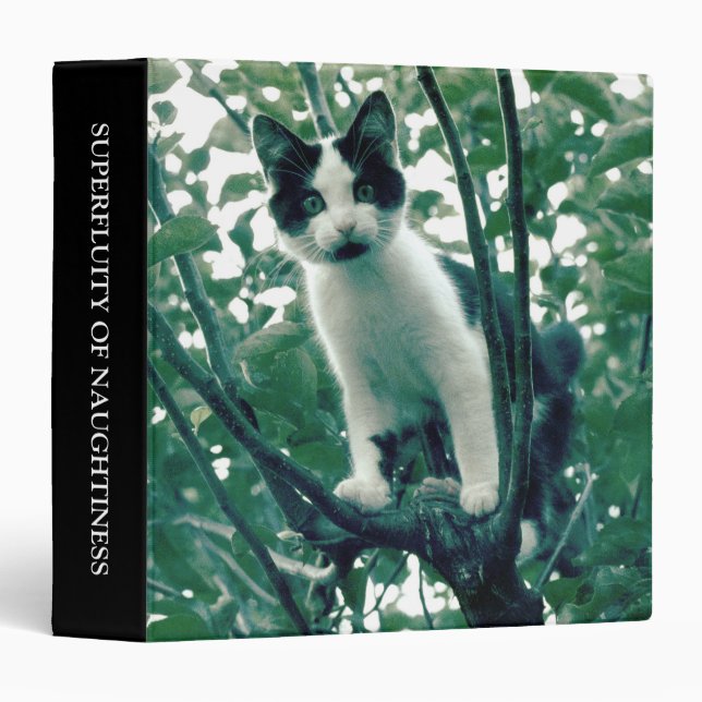 Superfluity of Naughtiness (1.5in) Binder (Front/Spine)