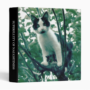 Superfluity of Naughtiness (1in) Binder