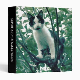 Superfluity of Naughtiness (1in) Binder