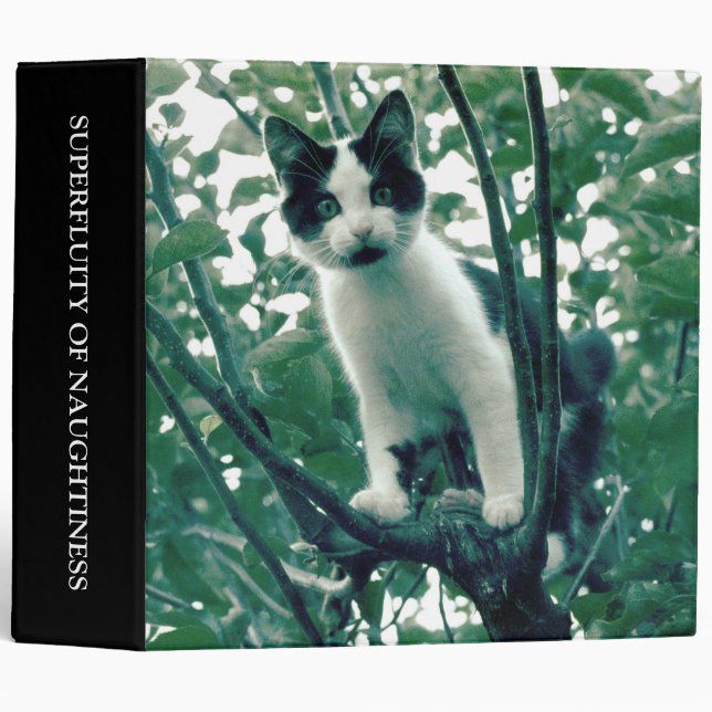 Superfluity of Naughtiness (2in) Binder (Front/Spine)