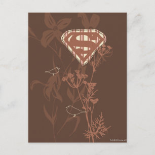 Supergirl Brown Bird Postcard