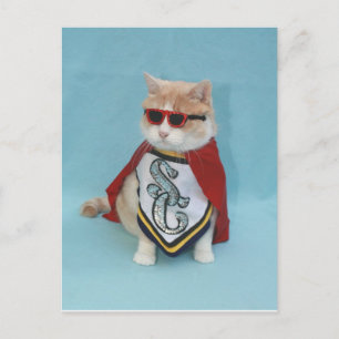 Superhero Bubba Postcard