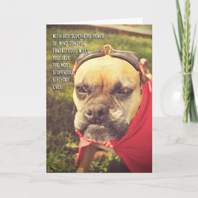 Superhero Dog Birthday Card (Front)