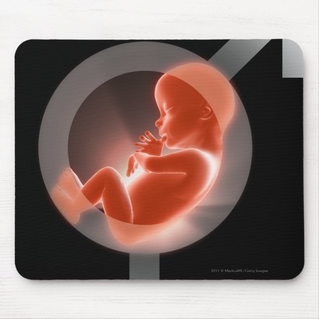 Superimposed fetus over male and female symbols mouse pad (Front)