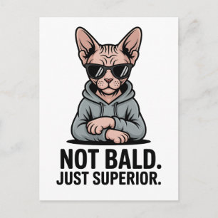 Superior Sphynx Cat Sarcastic Attitude Art Postcard