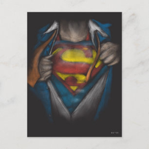 Superman   Chest Reveal Sketch Colorized Postcard