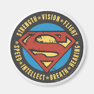 Superman Stylized Strength Vision Flight Logo Magnet