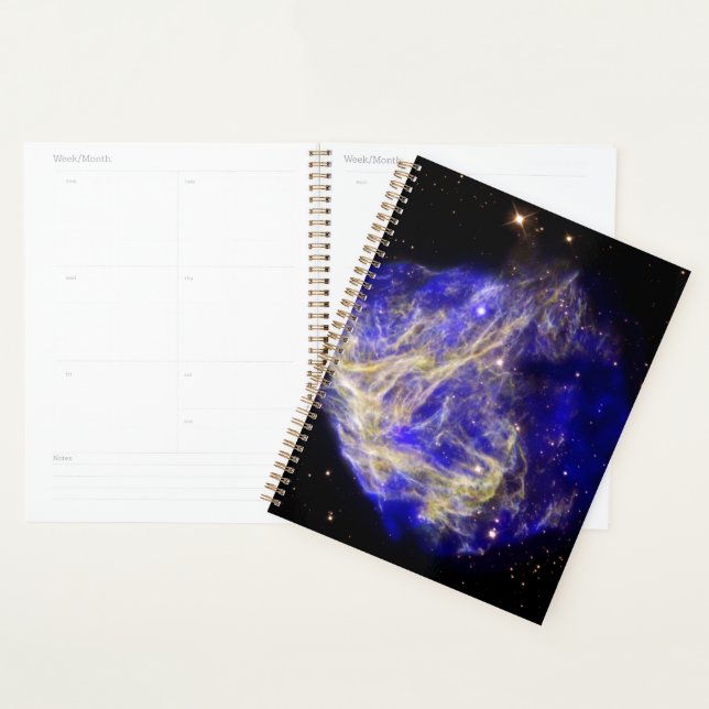 Supernova Remnant N49 Planner (Display)
