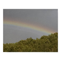 Supernumerary rainbow, above evergreen forest