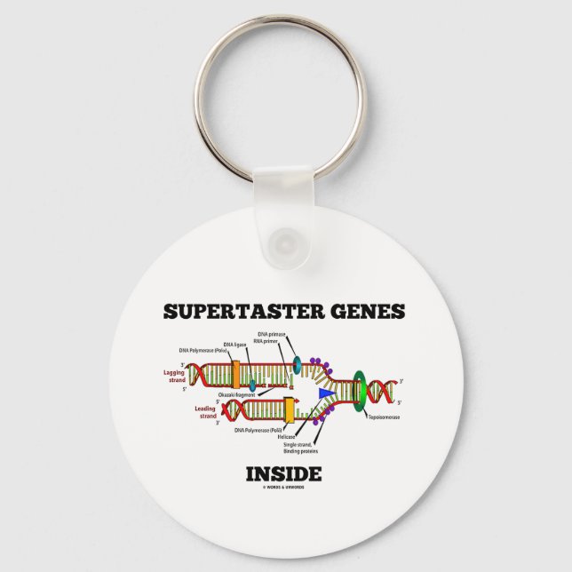 Supertaster Genes Inside (DNA Replication) Keychain (Front)