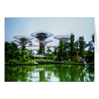 Supertrees and dragonfly lake