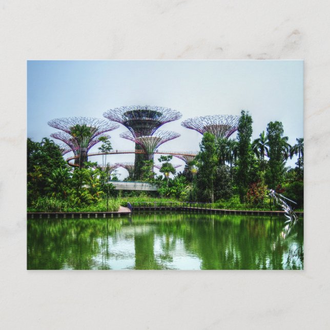Supertrees and dragonfly lake postcard (Front)