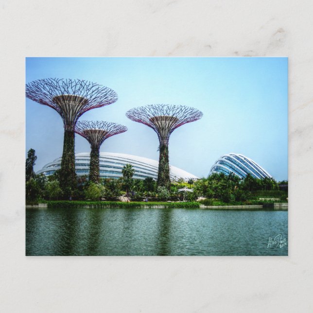 Supertrees greenhouse and dragonfly lake postcard (Front)