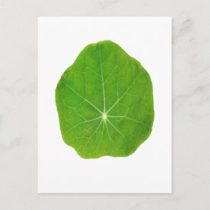 Support Green, Save the Planet Postcard