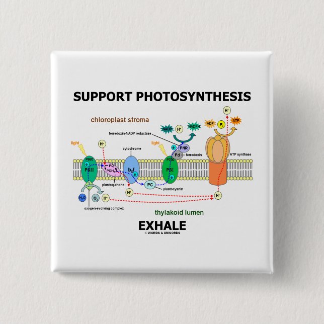 Support Photosynthesis Exhale (Biochemistry 2 Inch Square Button (Front)