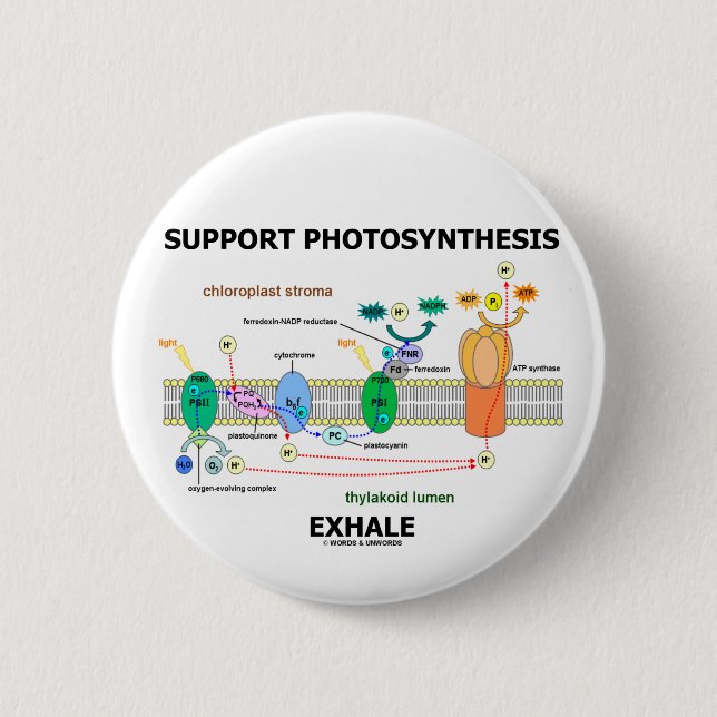 Support Photosynthesis Exhale (Environmental) 2 Inch Round Button (Front)