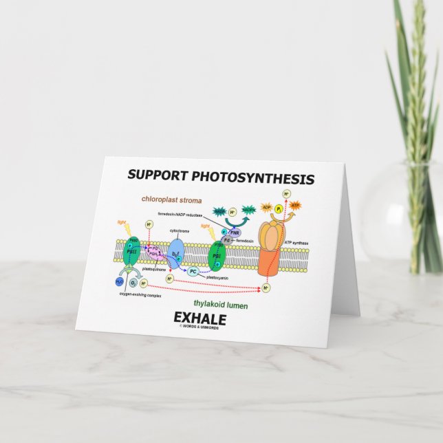 Support Photosynthesis Exhale (Environmental) Card (Front)