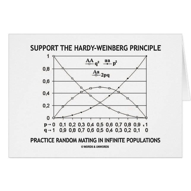Support The Hardy-Weinberg Principle Practice (Front Horizontal)
