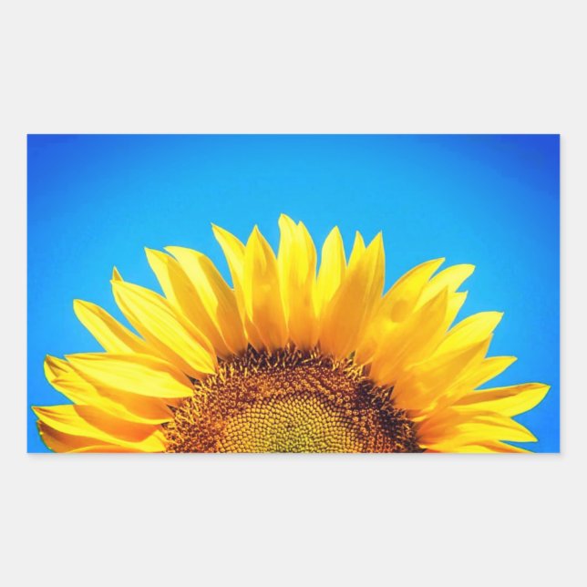 Support Ukraine blue sky yellow sunflower Sticker (Front)