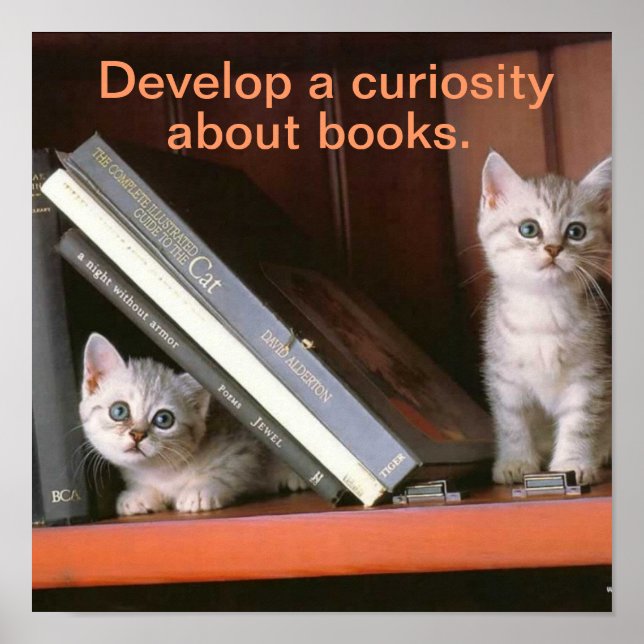 Supporting Literacy Poster (Front)