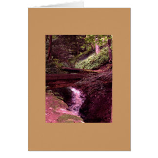 Sur la bonne carte de chemin