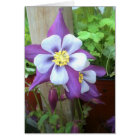 Sur la carte vierge de courrier