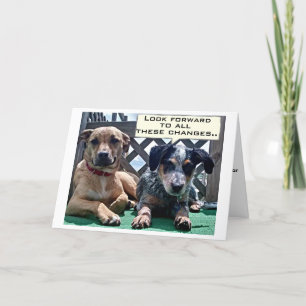 SUR LA COLLINE / CE QUE VOUS POUVEZ ATTENDRE CARTE