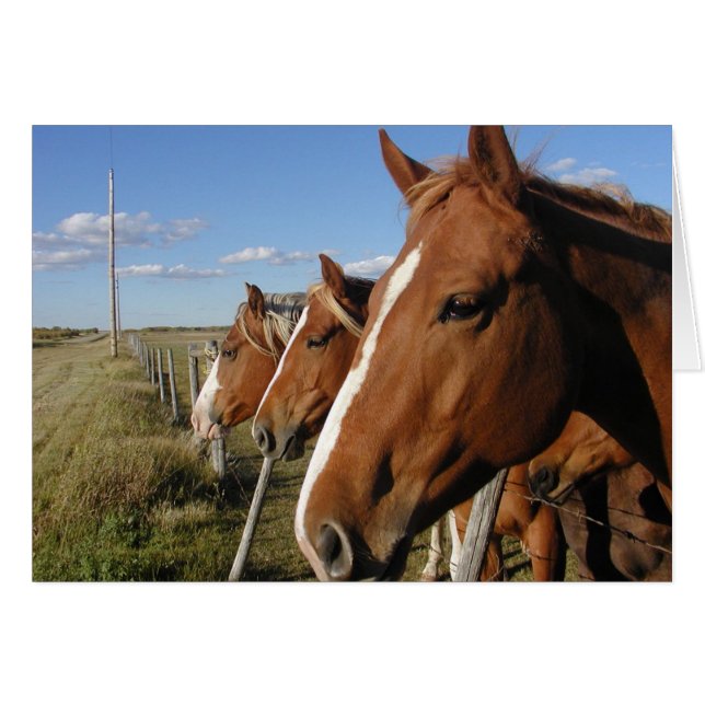 Sur la ligne (Devant horizontal)