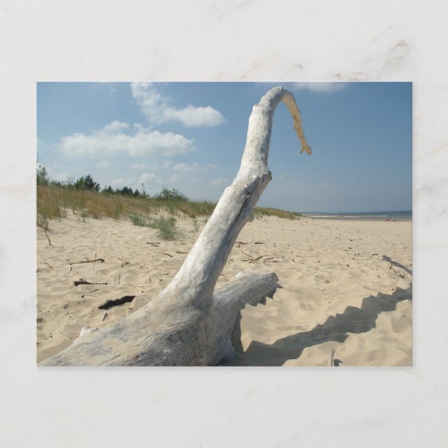 Sur la plage - Carte postale (Devant)
