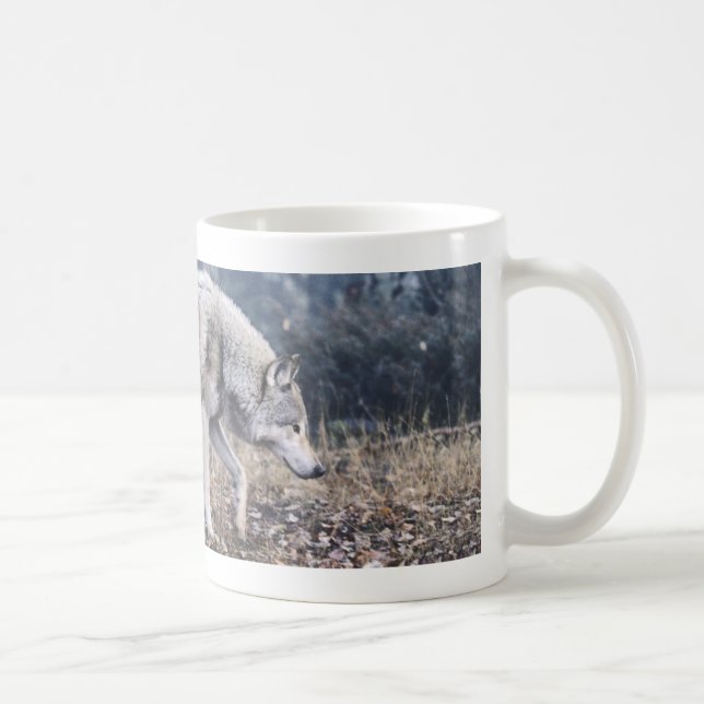 Sur la tasse de loup de bois de construction de (Droite)