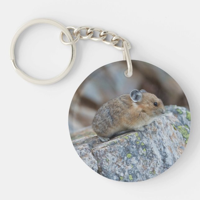 Sur l'alerte (Devant)