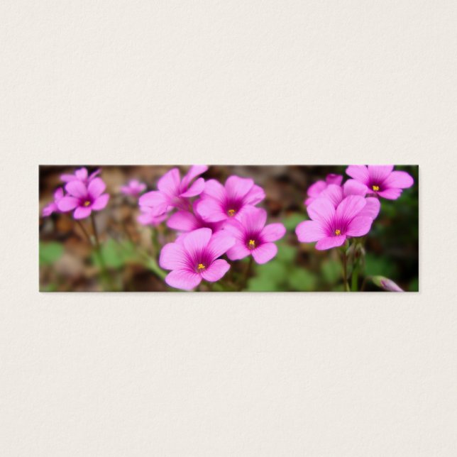 Sur mes Signets de porte (Devant)