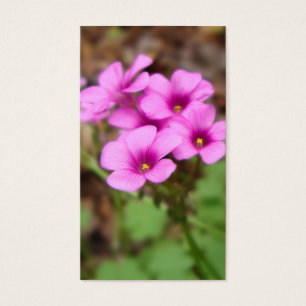 Sur mes Signets de porte