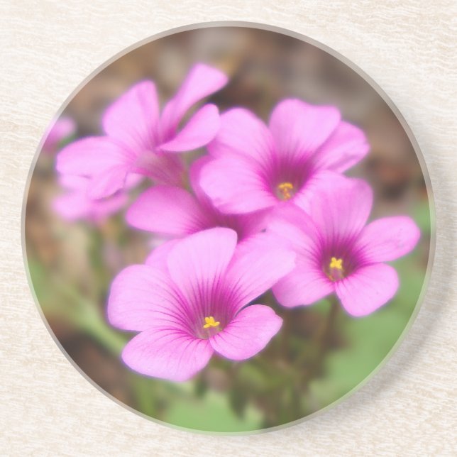 Sur mon Dessous de verre Porte (Devant)