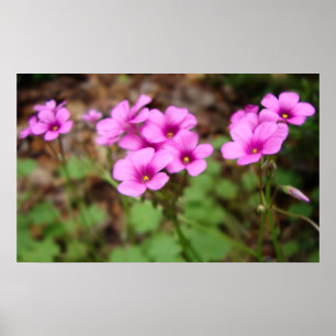 Sur mon impression à la porte