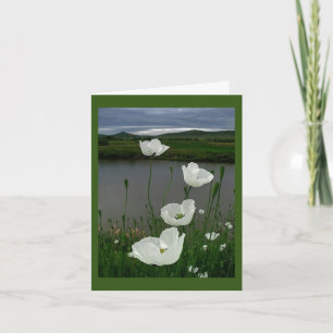 SUR NOTRE *ANNIVERSAIRE* FÊTONS LA CARTE "NOUS"