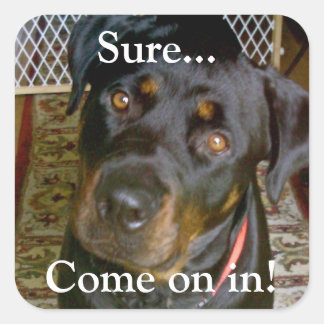 "Sure...Come on in" Sticker (rottweiler)